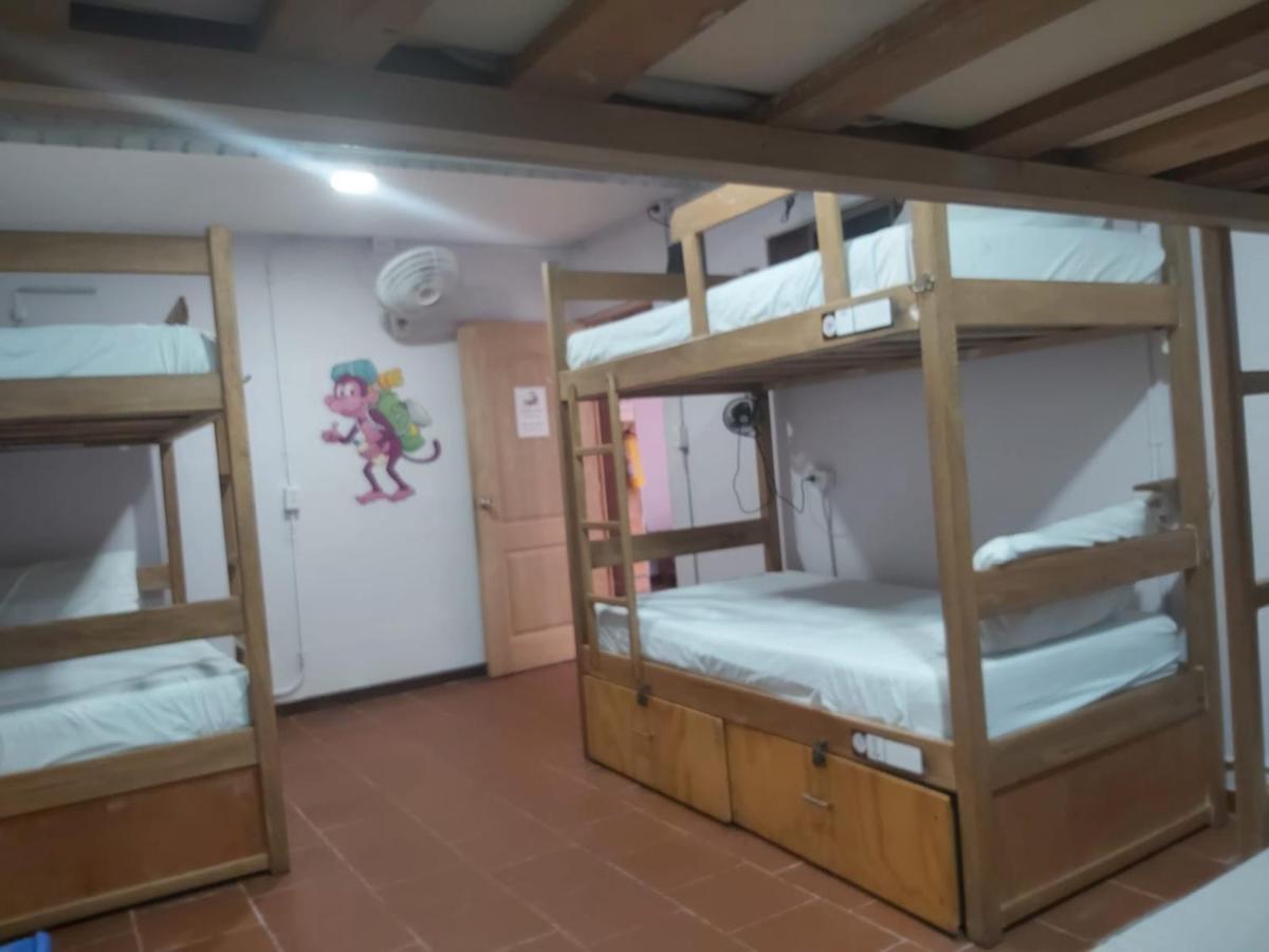 Purple Monkey Hostal *