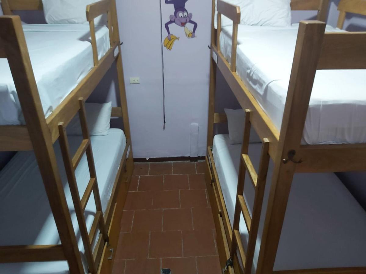 Hostal Purple Monkey *