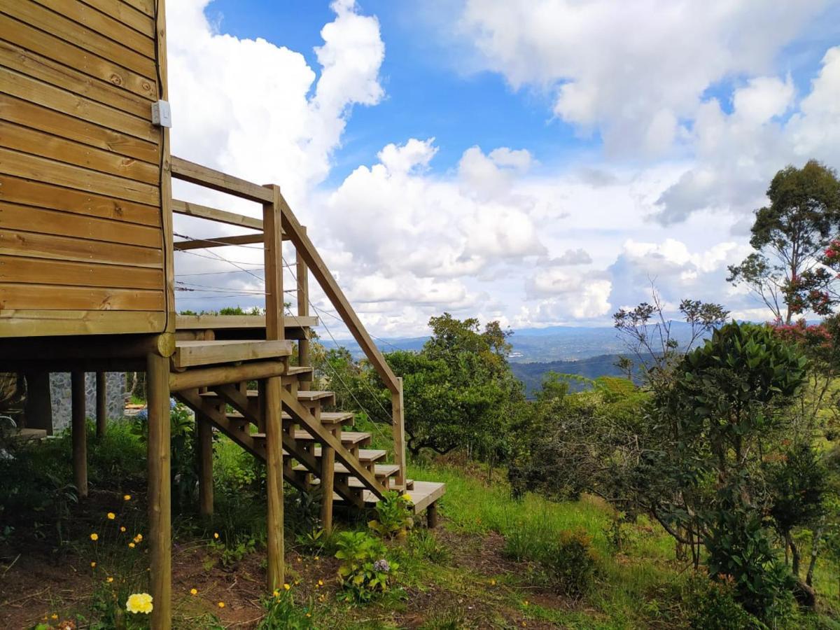 Terravista