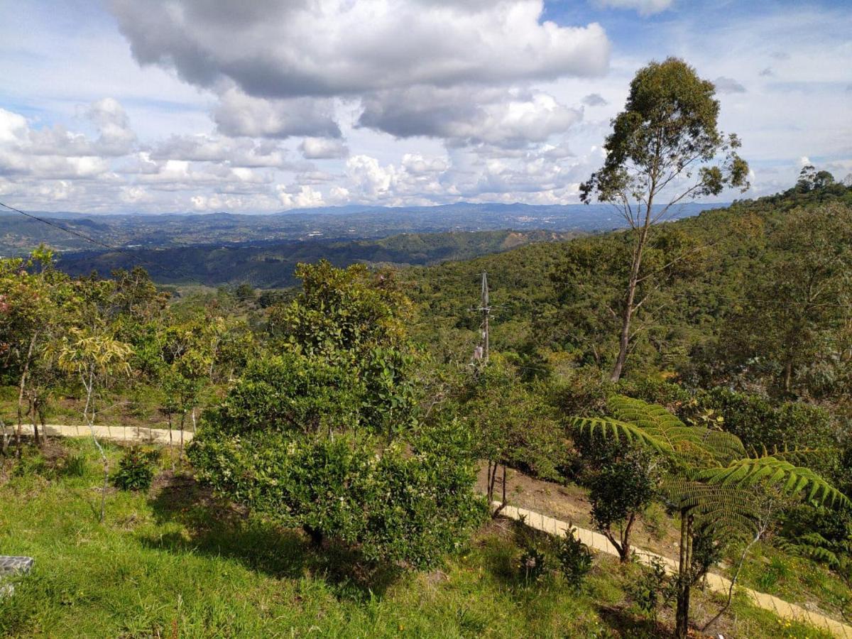 Camping Terravista