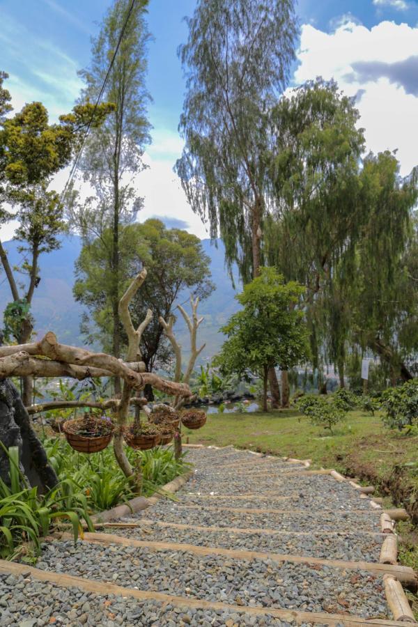 Glamping & Coffee Tour * Medellín