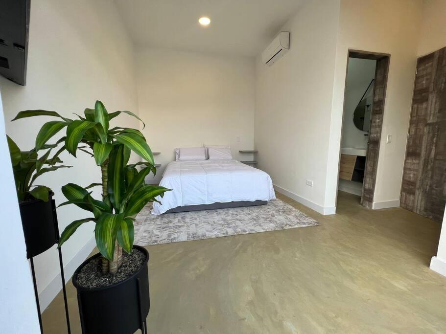 57 Oasis Palmas Lleras Provenza