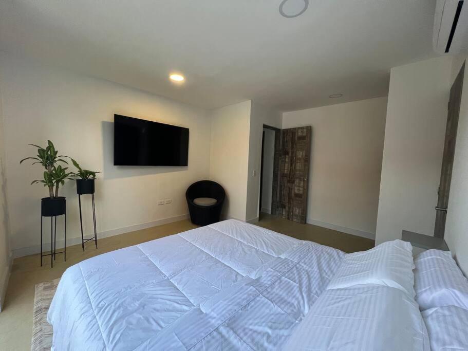 57 Oasis Palmas Lleras Provenza