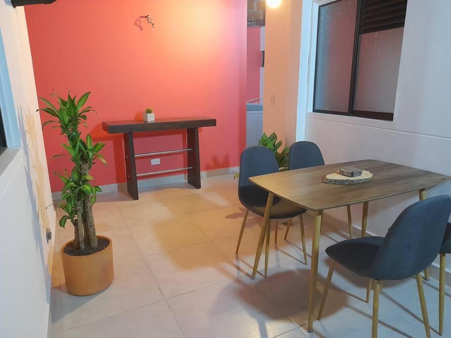 Tribu House *