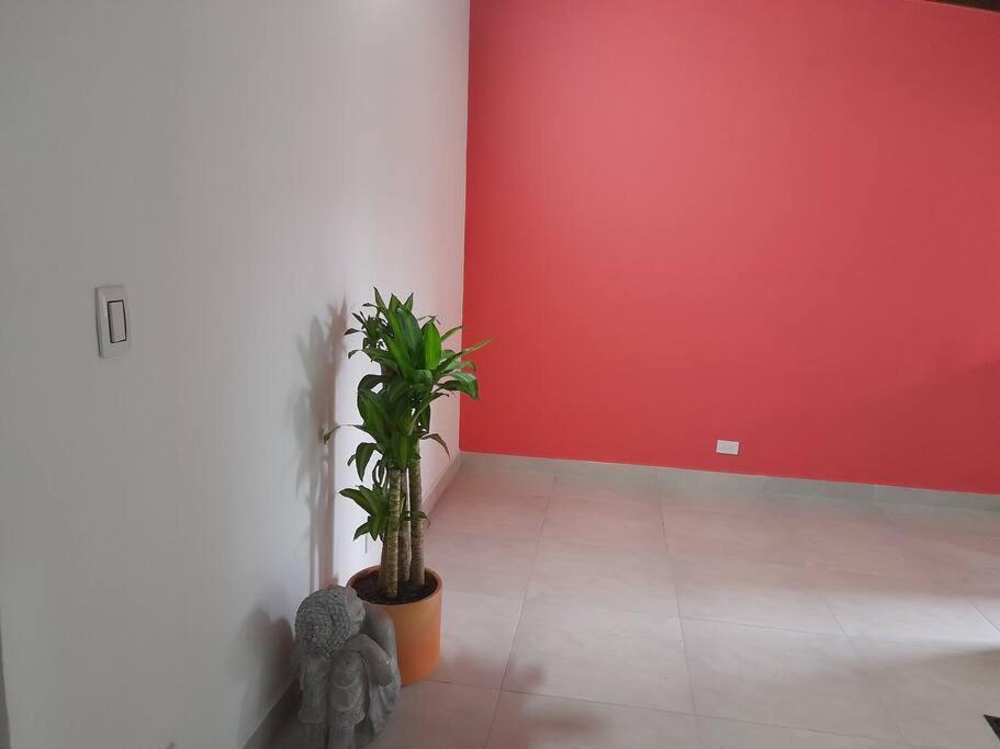 Tribu House Medellín