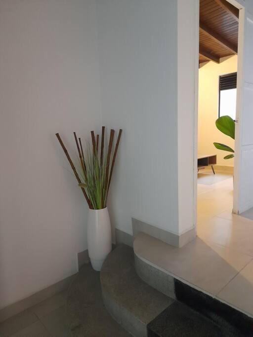 Tribu House Apartamento Medellín