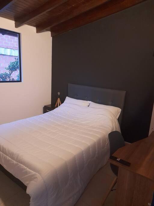 Apartamento Tribu House *