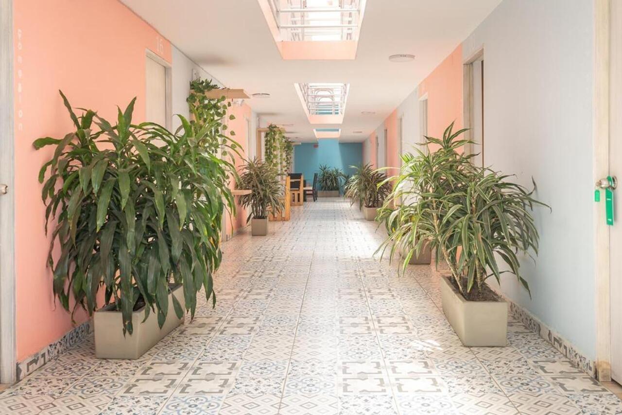 Hotel Ayenda Malaki 2*