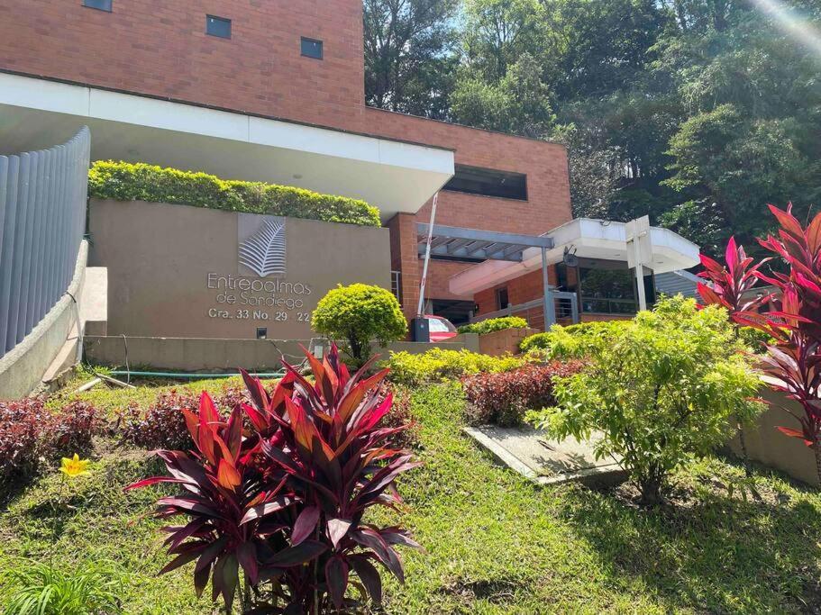 Apartamento Entre Palmas De San Diego 6 Pax *