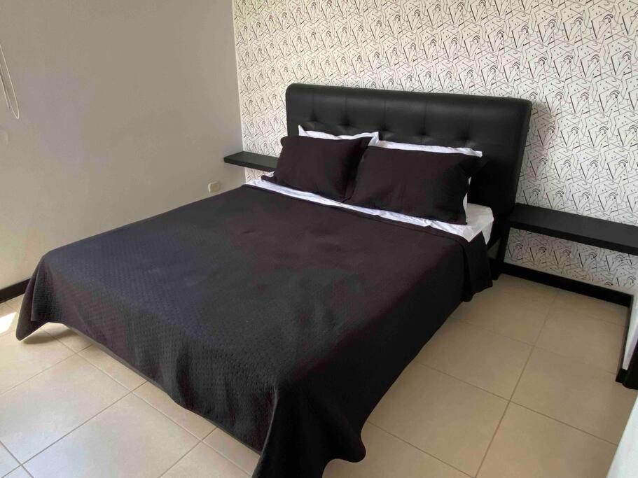 Entre Palmas De San Diego 6 Pax *