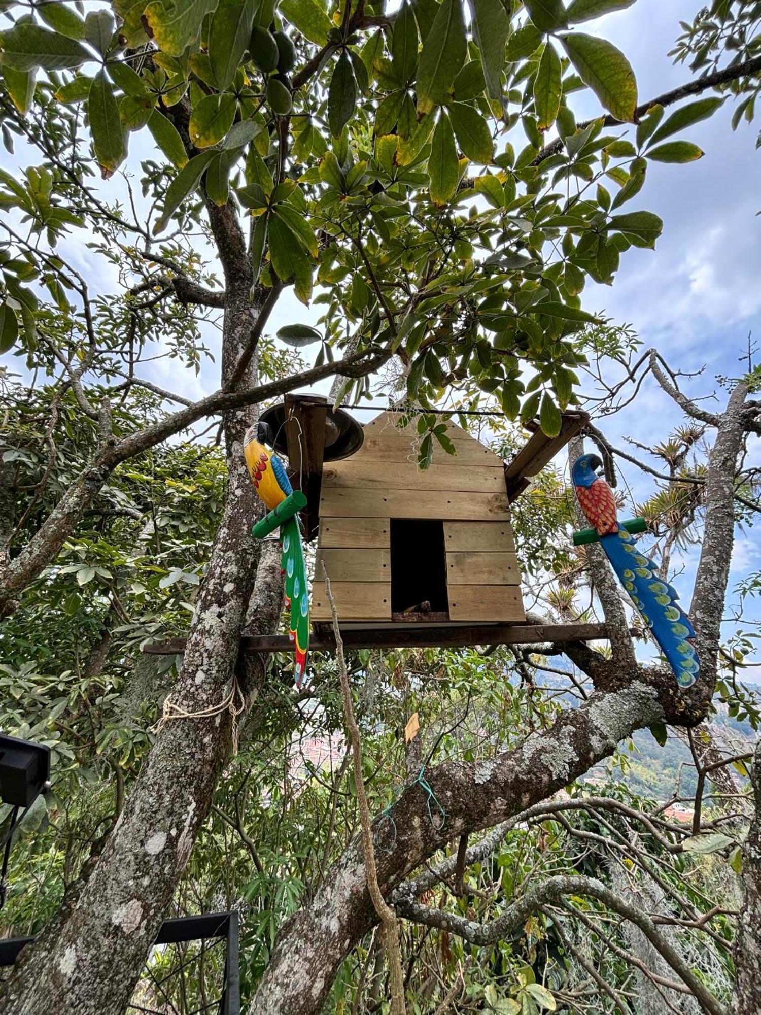 Hostal Del Cielo *