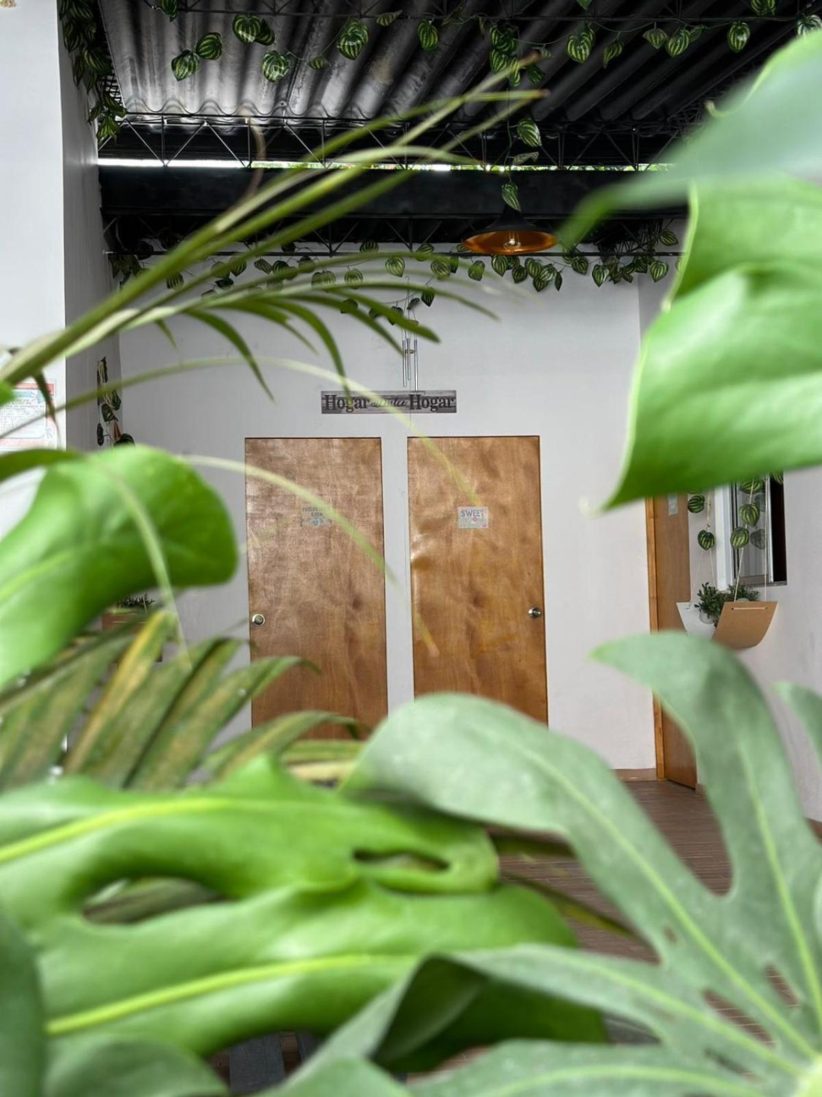 Casa Egos Pop Laureles Medellin
