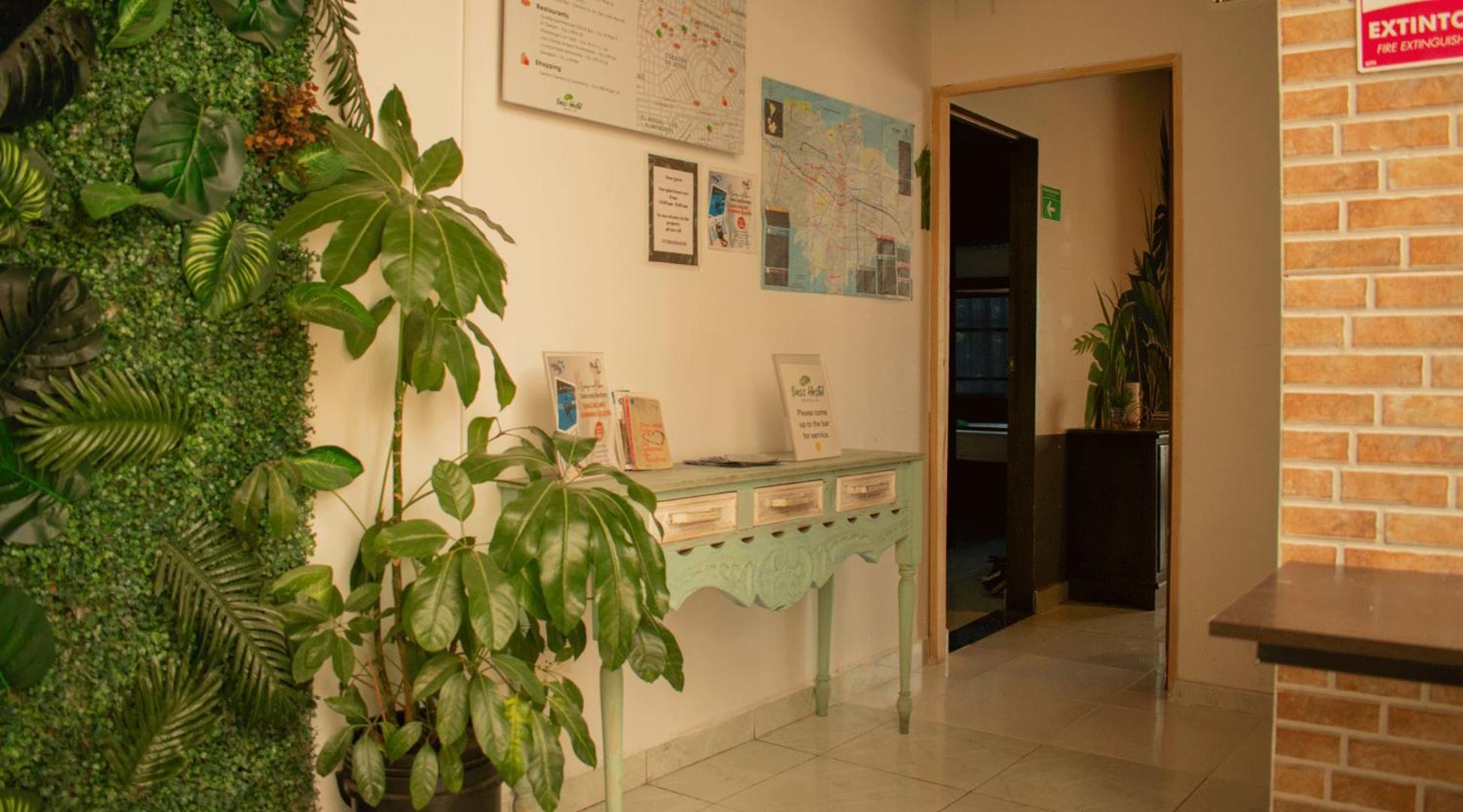 Oasis * Medellín