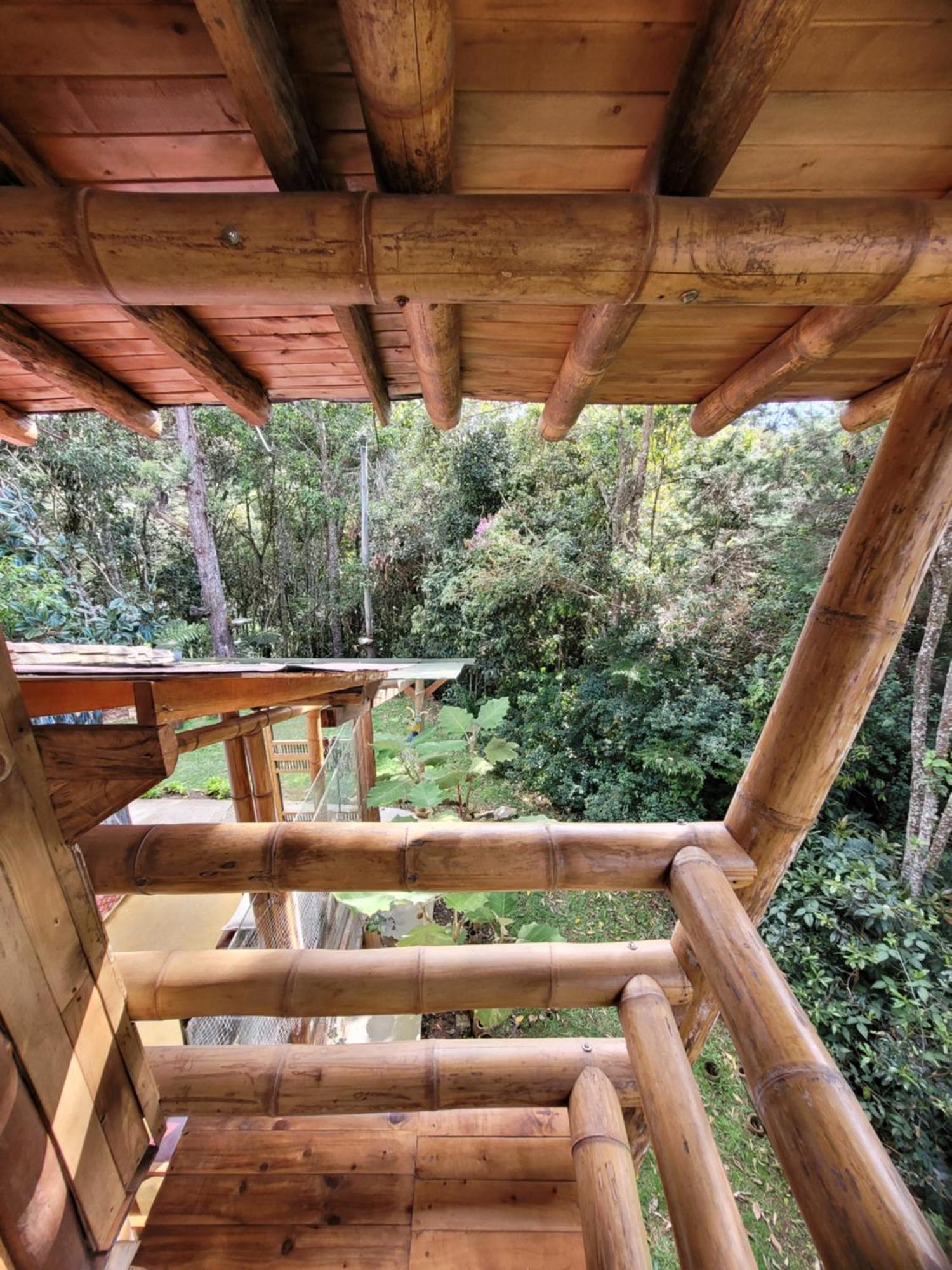 Pensión Refugio En El Bosque Medellín