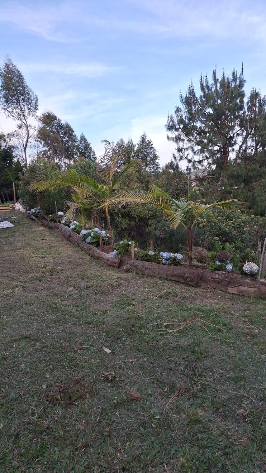 Apartamento Palmas Poblado *