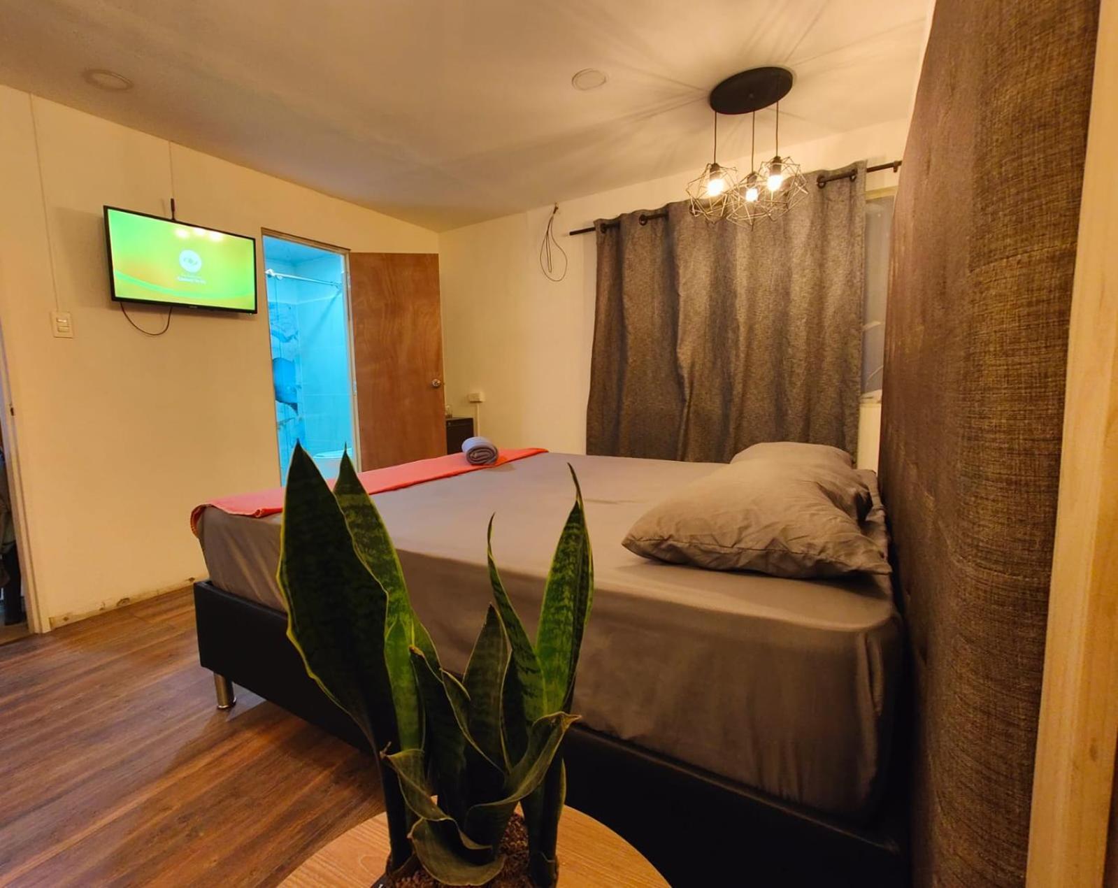 1243 Living 4* Medellín