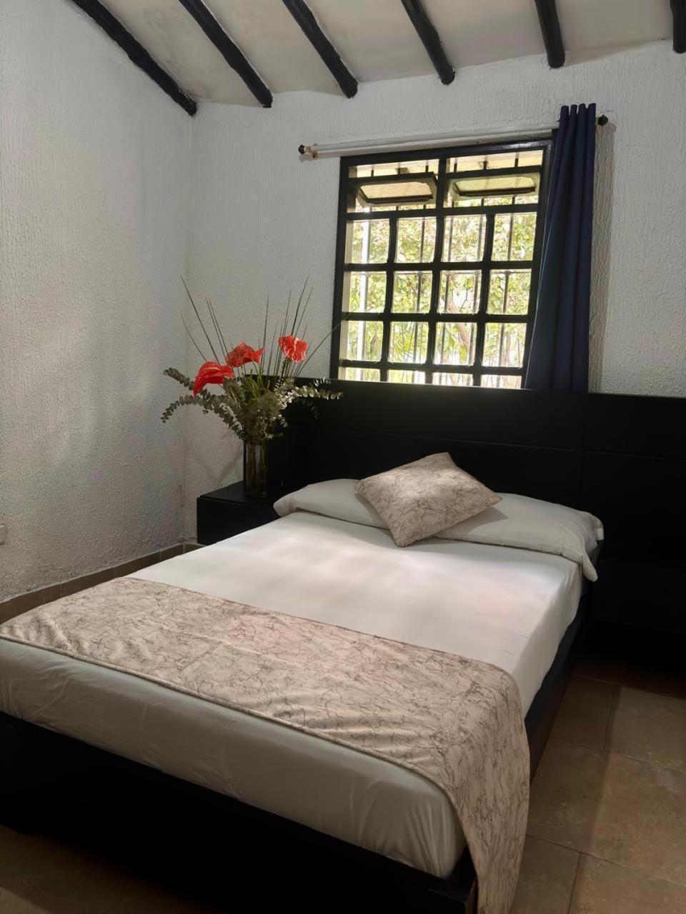 Hotel Premium Real 3*