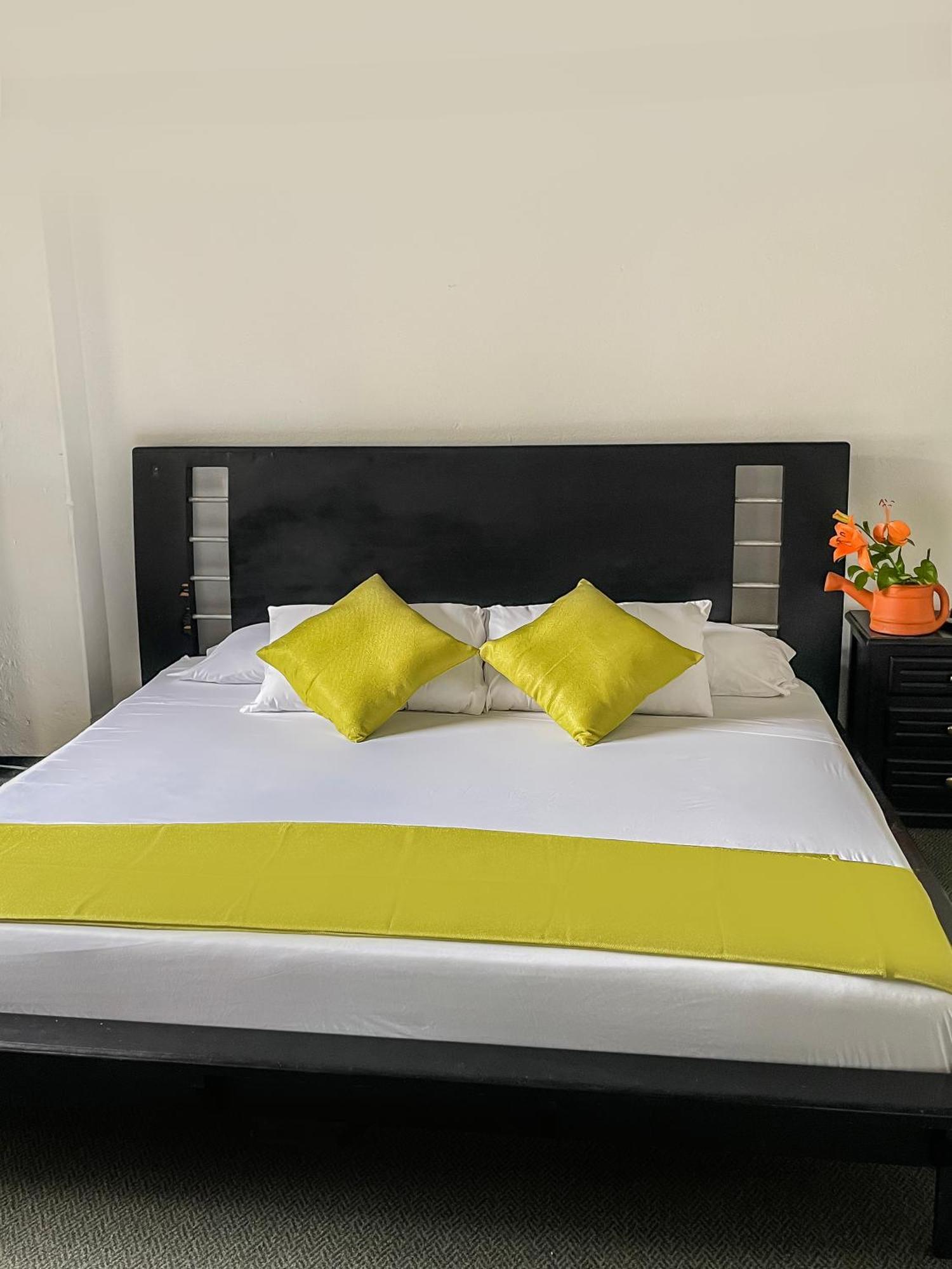 Hotel Premium Real 3*