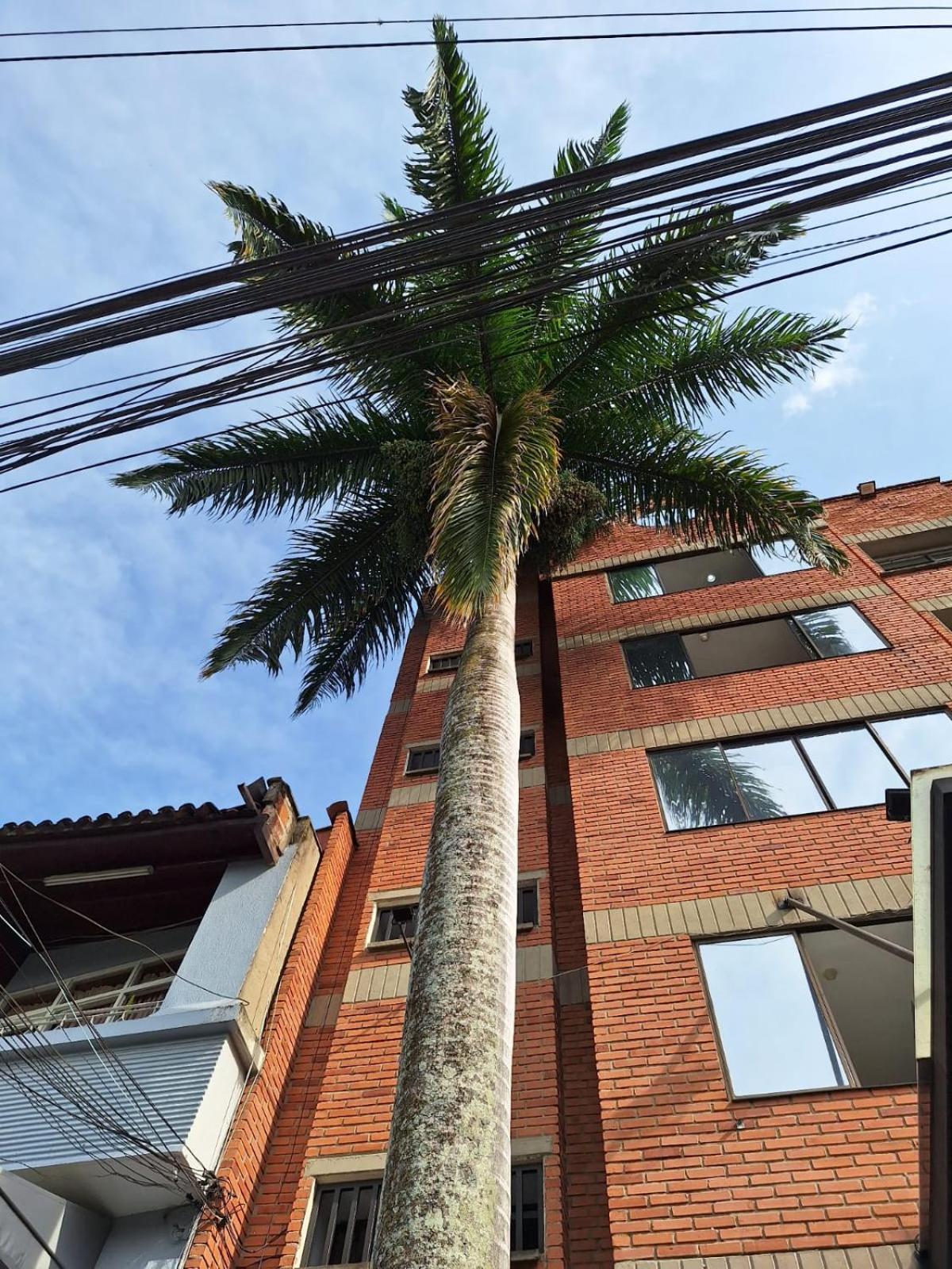 Hotel Suramericana