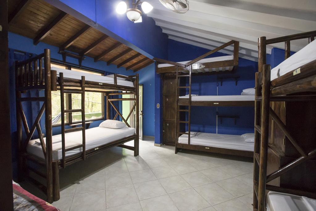 Hostel Arcadia