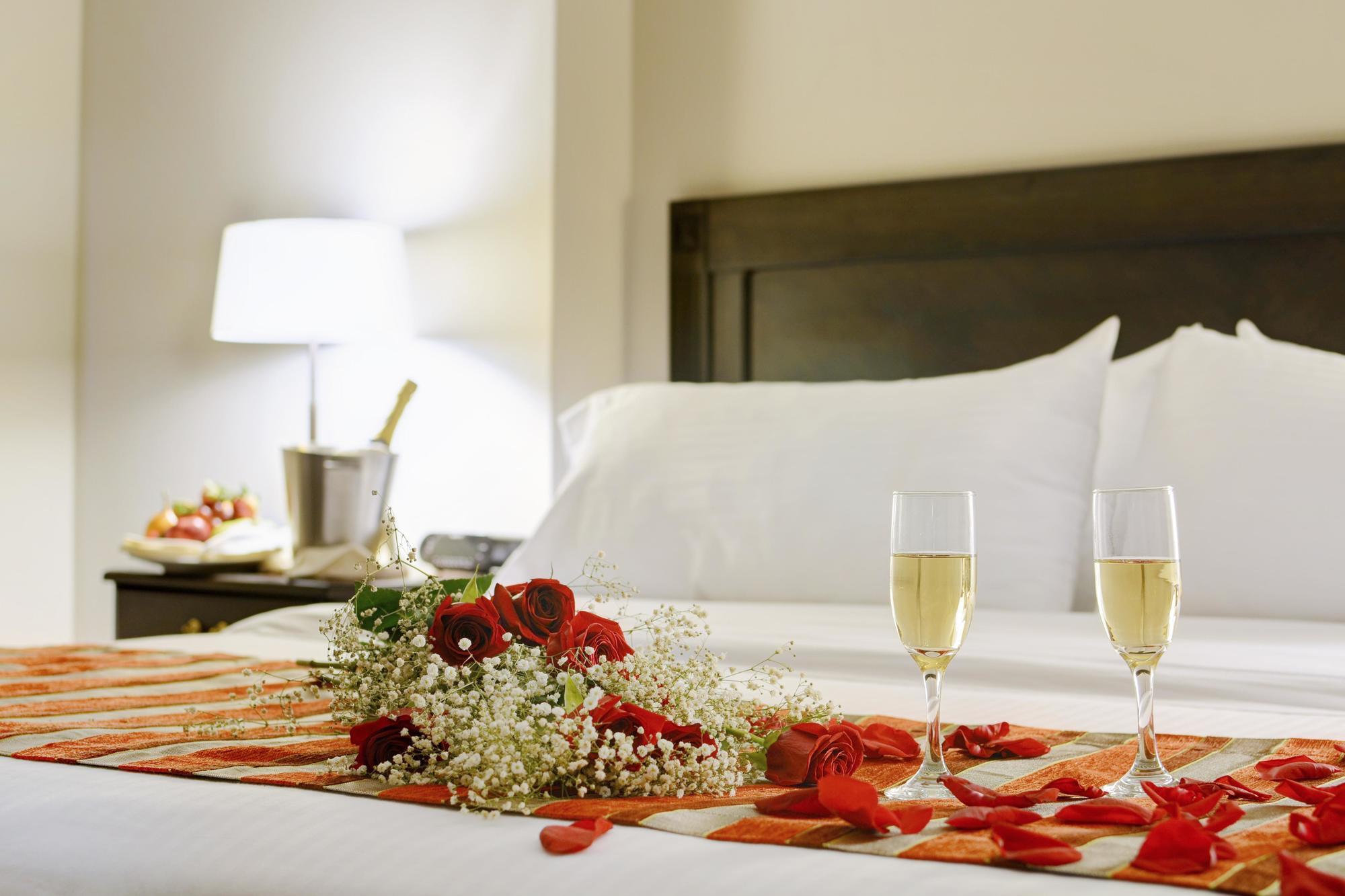 Hotel Dann Carlton 5*