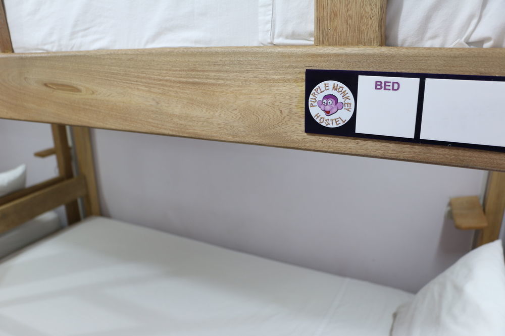 Purple Monkey Hostal
