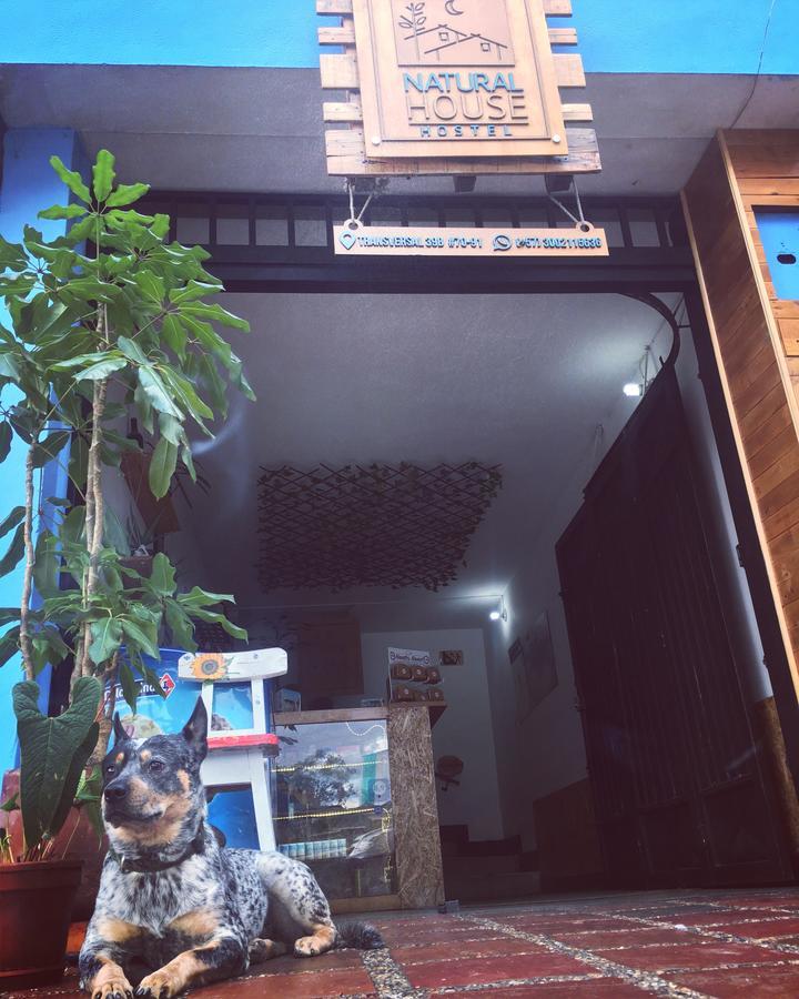 Hostal Natural House