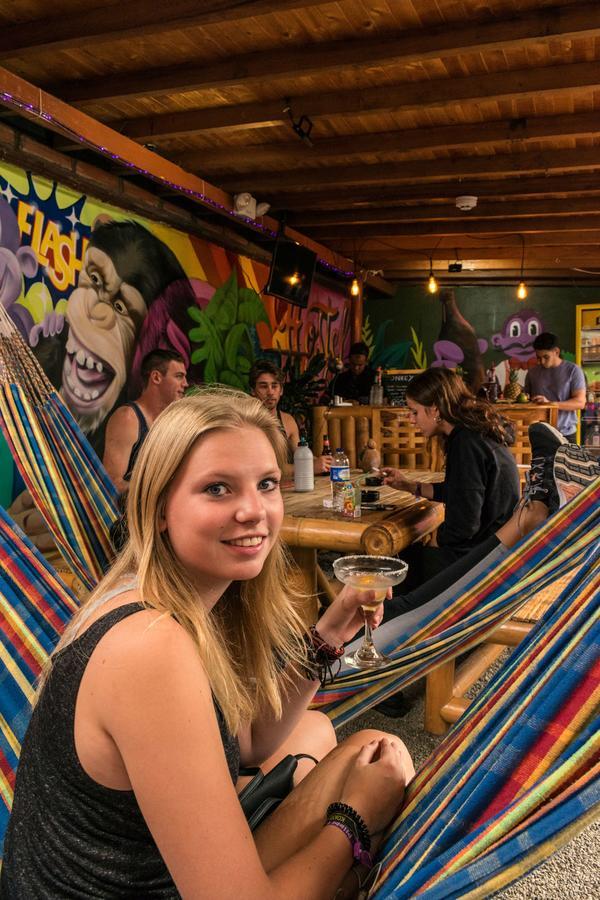 Purple Monkey Hostal Medellín