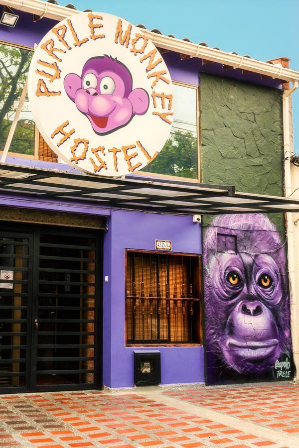 Purple Monkey Hostal