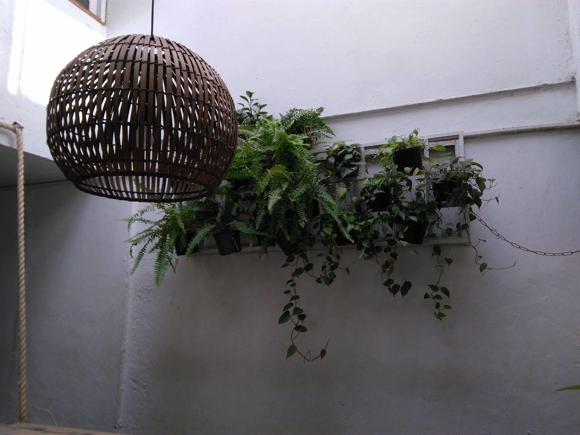 Coolto Art Medellín