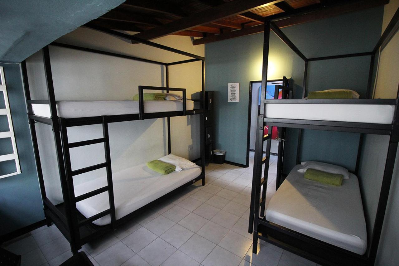 Hostal Coolto Art