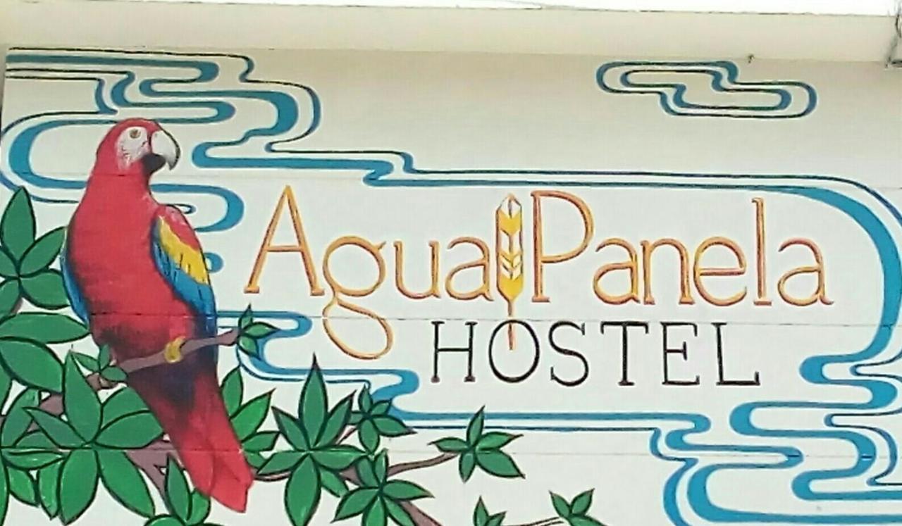 Hostel Aguapanela Medellin