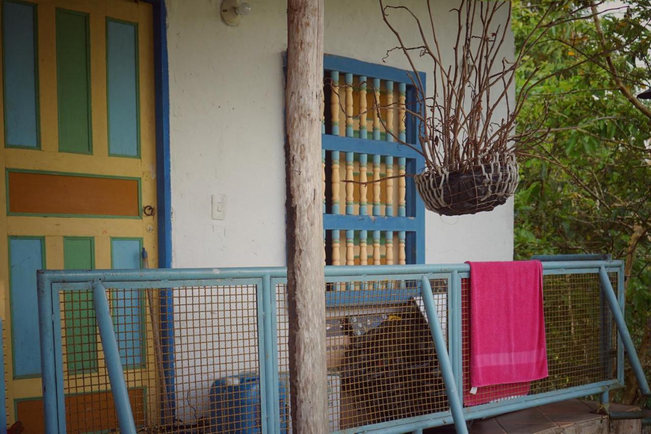 Eco Language Hostal Medellín
