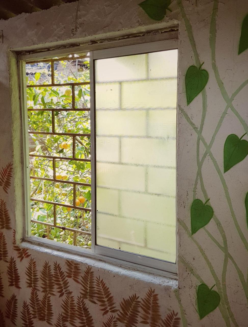 Eco Language Hostel