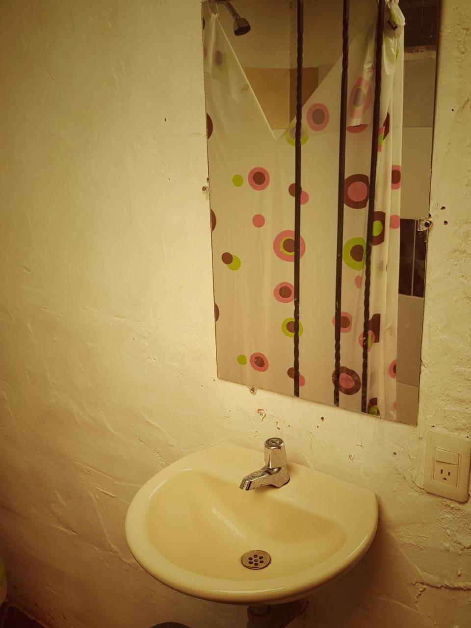 Eco Language Hostel *