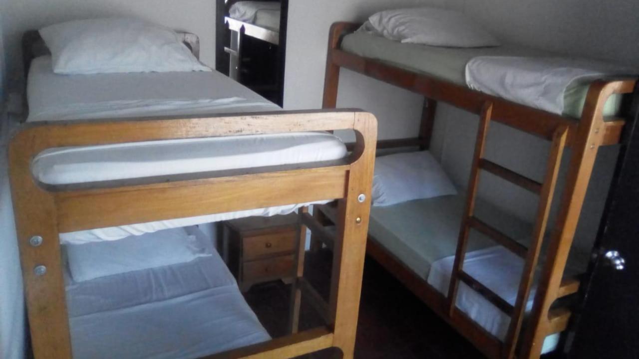Hostel Palm Tree Hostel Medellin