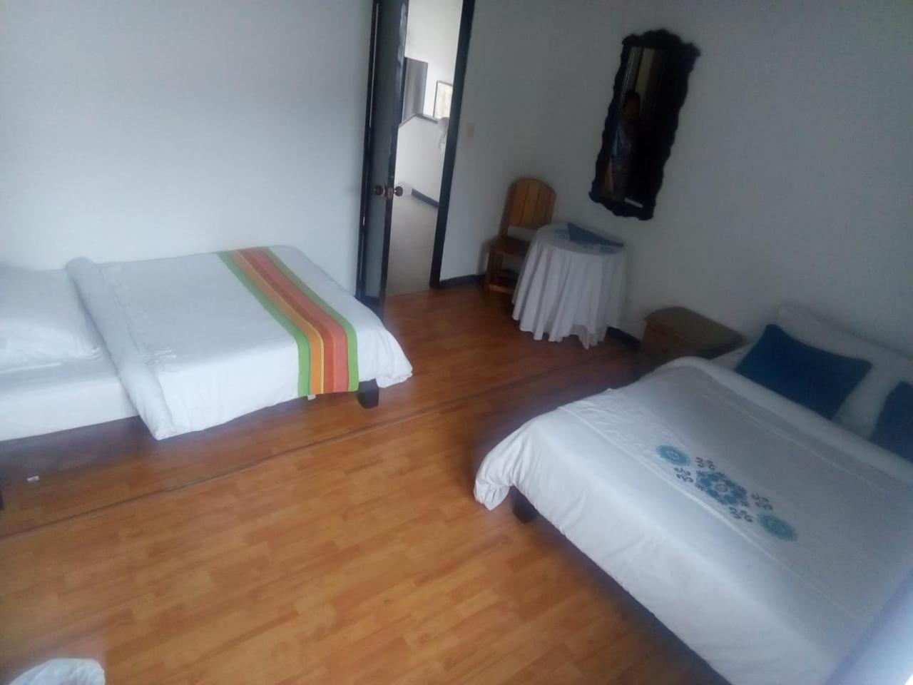 Palm Tree Hostel Hostel Medellin