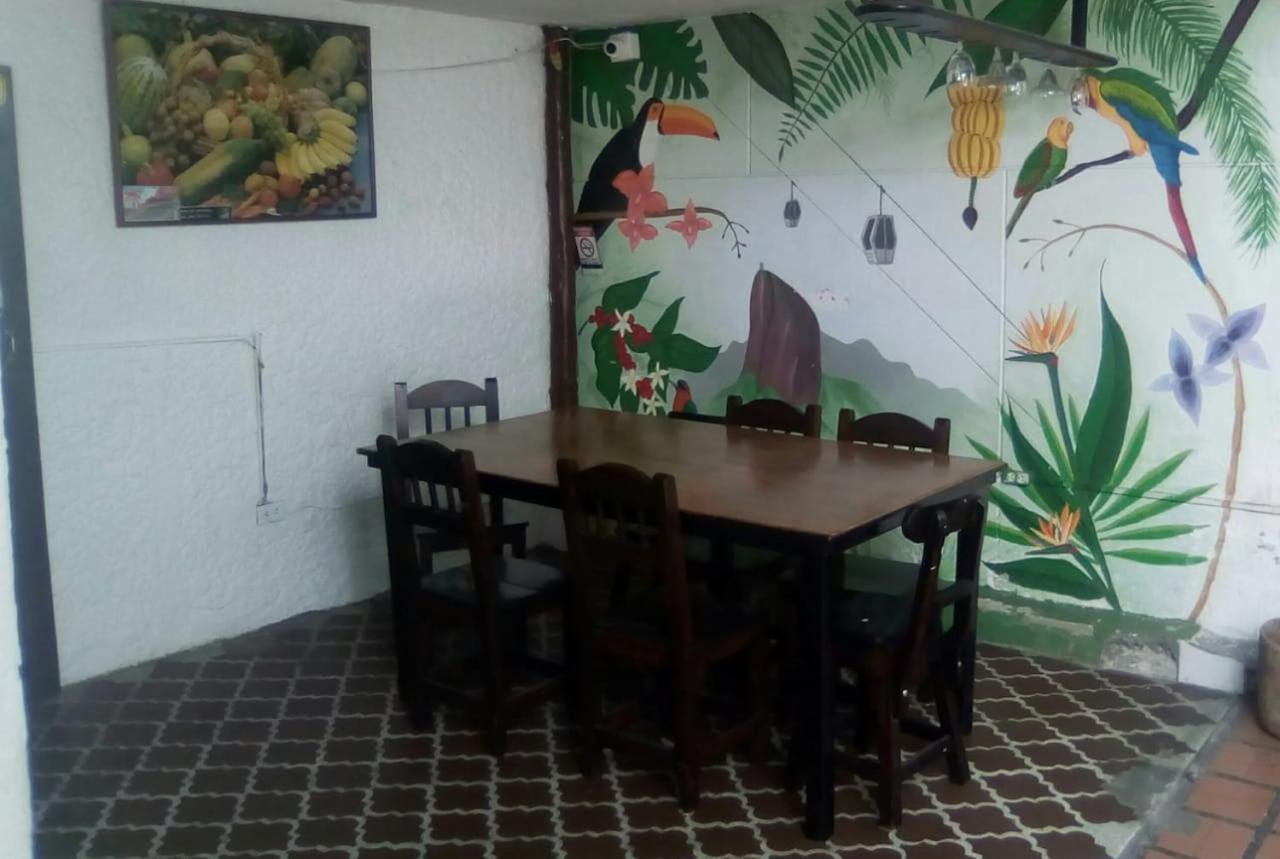 Palm Tree Hostel Medellin