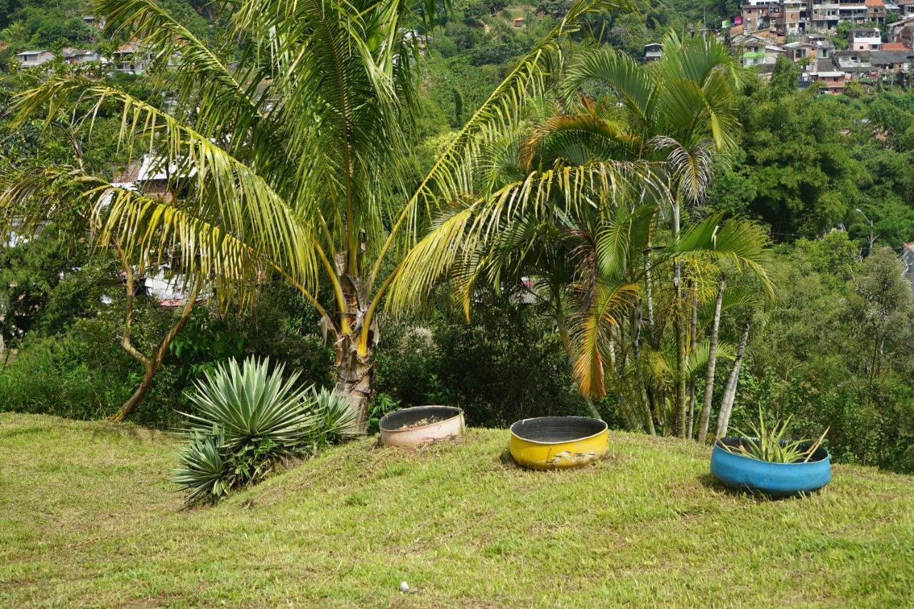 Eco Language Hostel