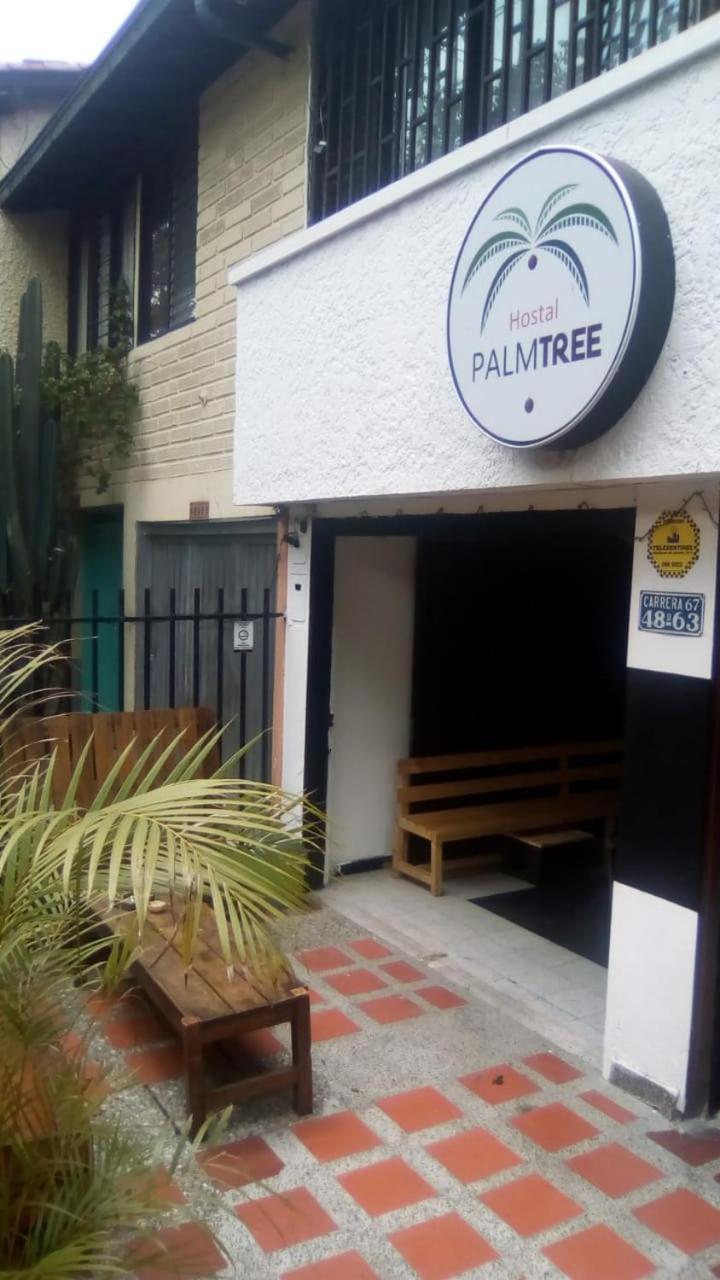 Hostel Palm Tree Hostel Medellin