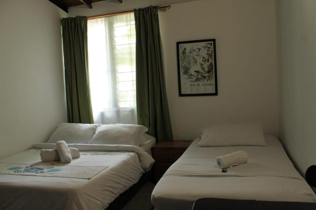 Hostel Palm Tree Hostel Medellin