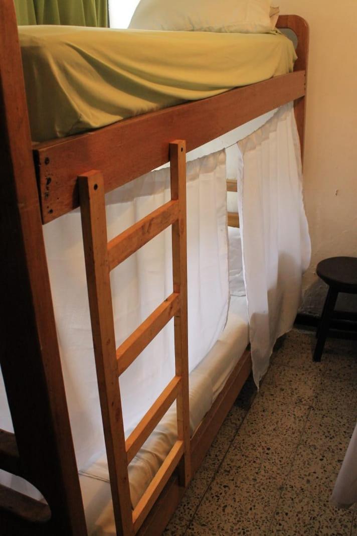 Palm Tree Hostel