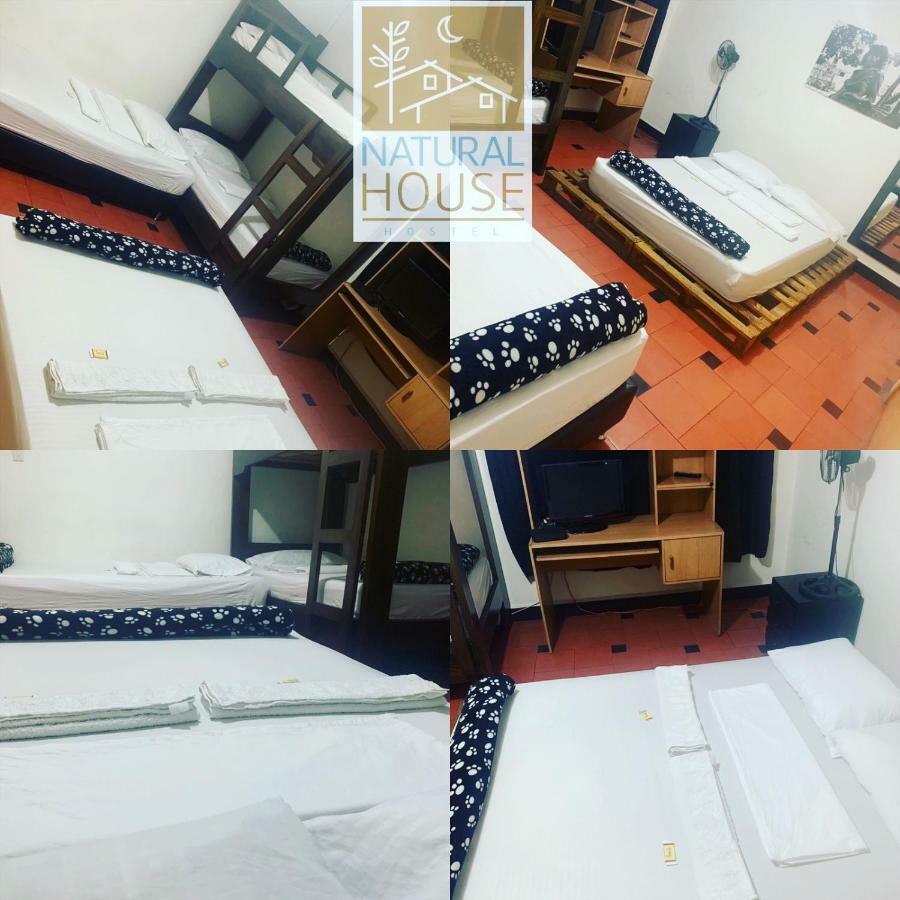 Hostal Natural House