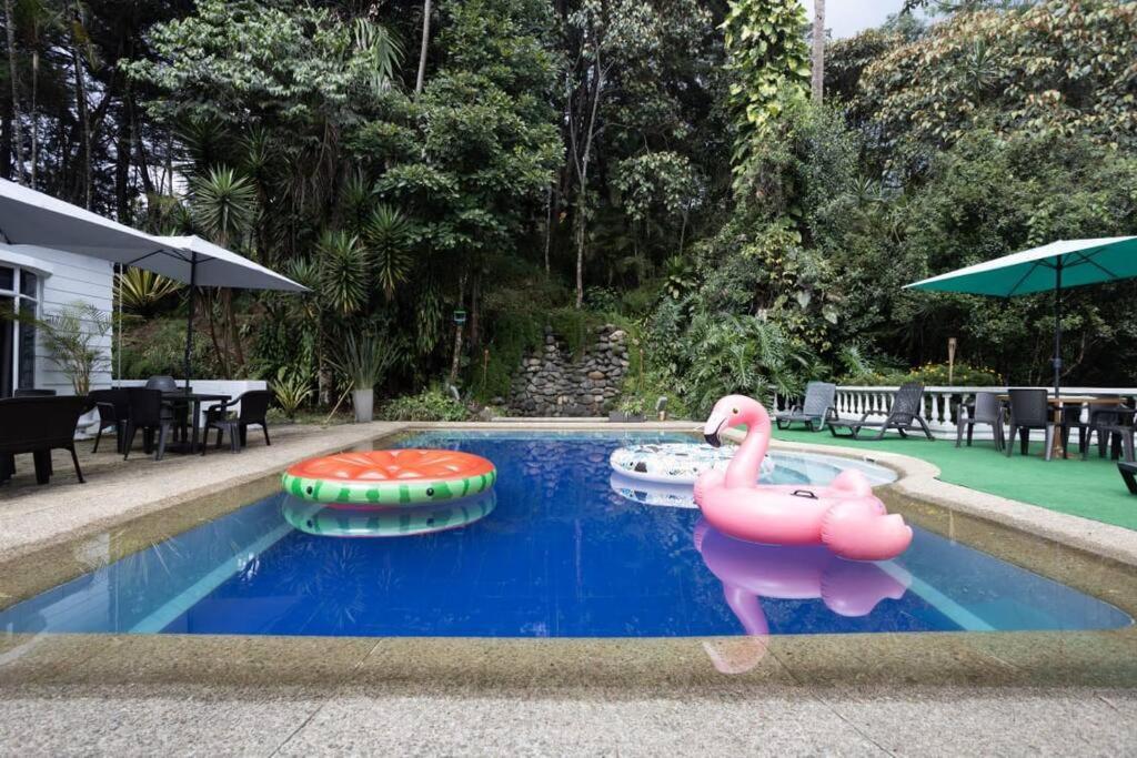 Casa Privada En El Poblado Despedidas De Soltero Fiesta Picsina Jacuzzi Villa *