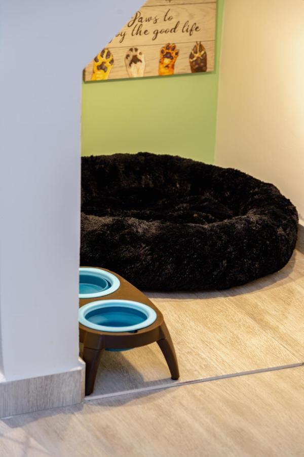 Apartamento Ac, Apto Saman, Pet Friendly, 7 Personas
