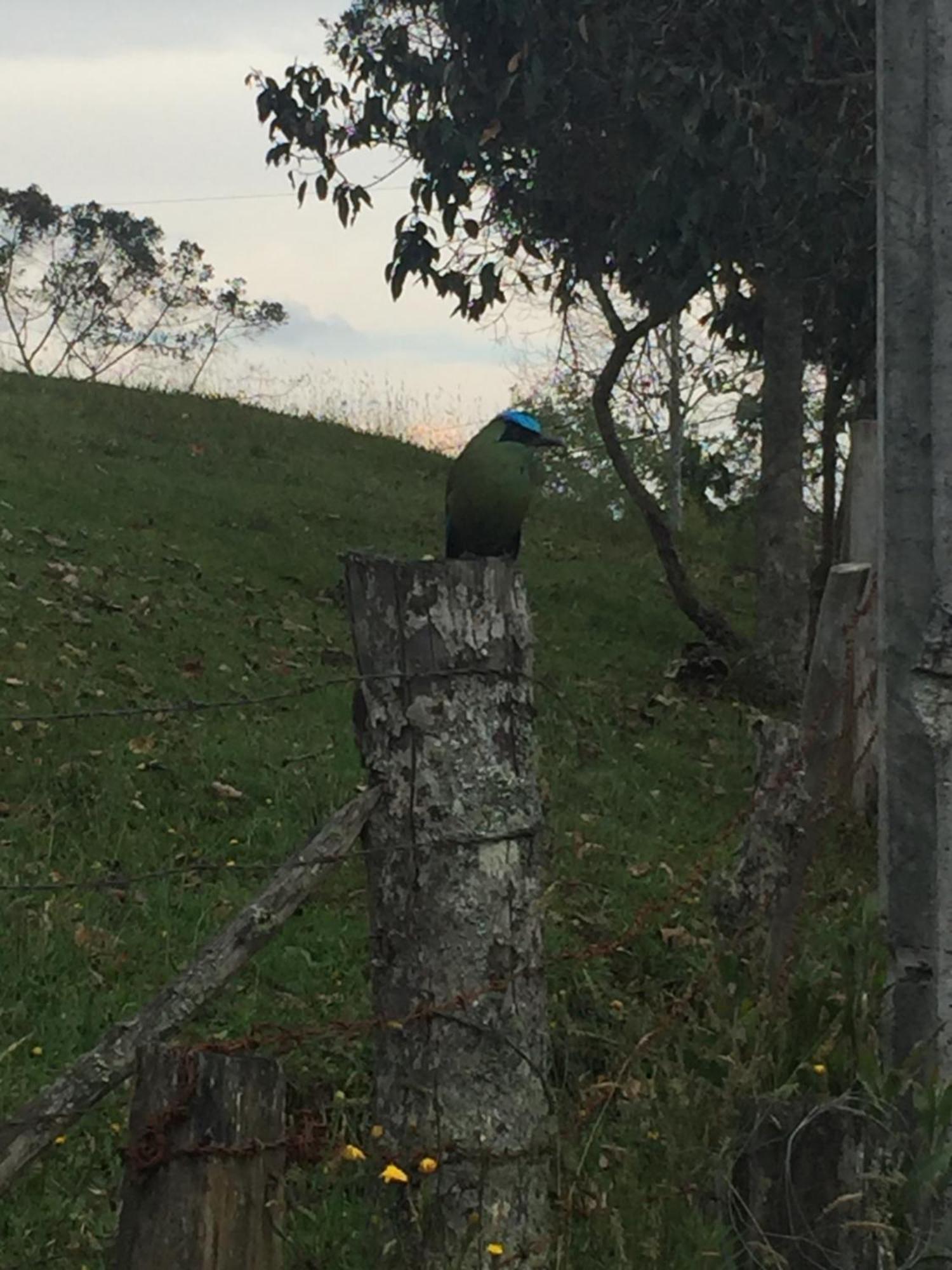 Solentiname * Medellín