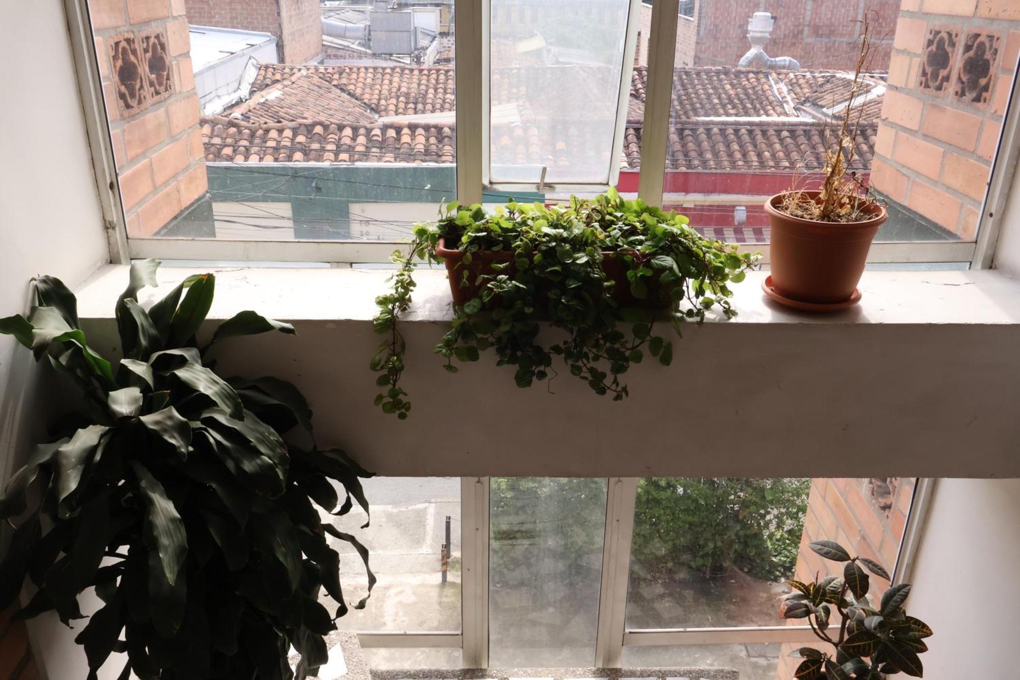Living Poblado Manila 3026 Individual Homestay