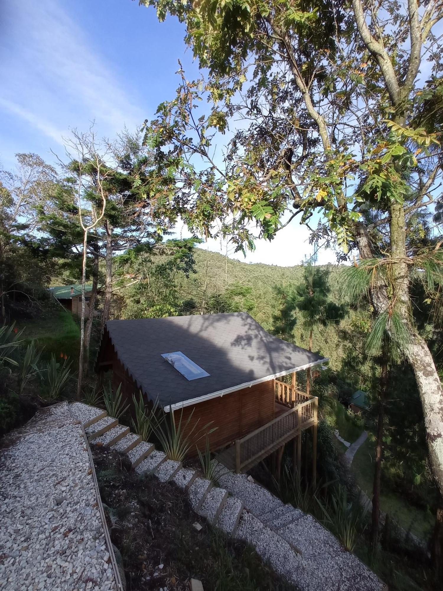 Ecoverso Del Bosque *