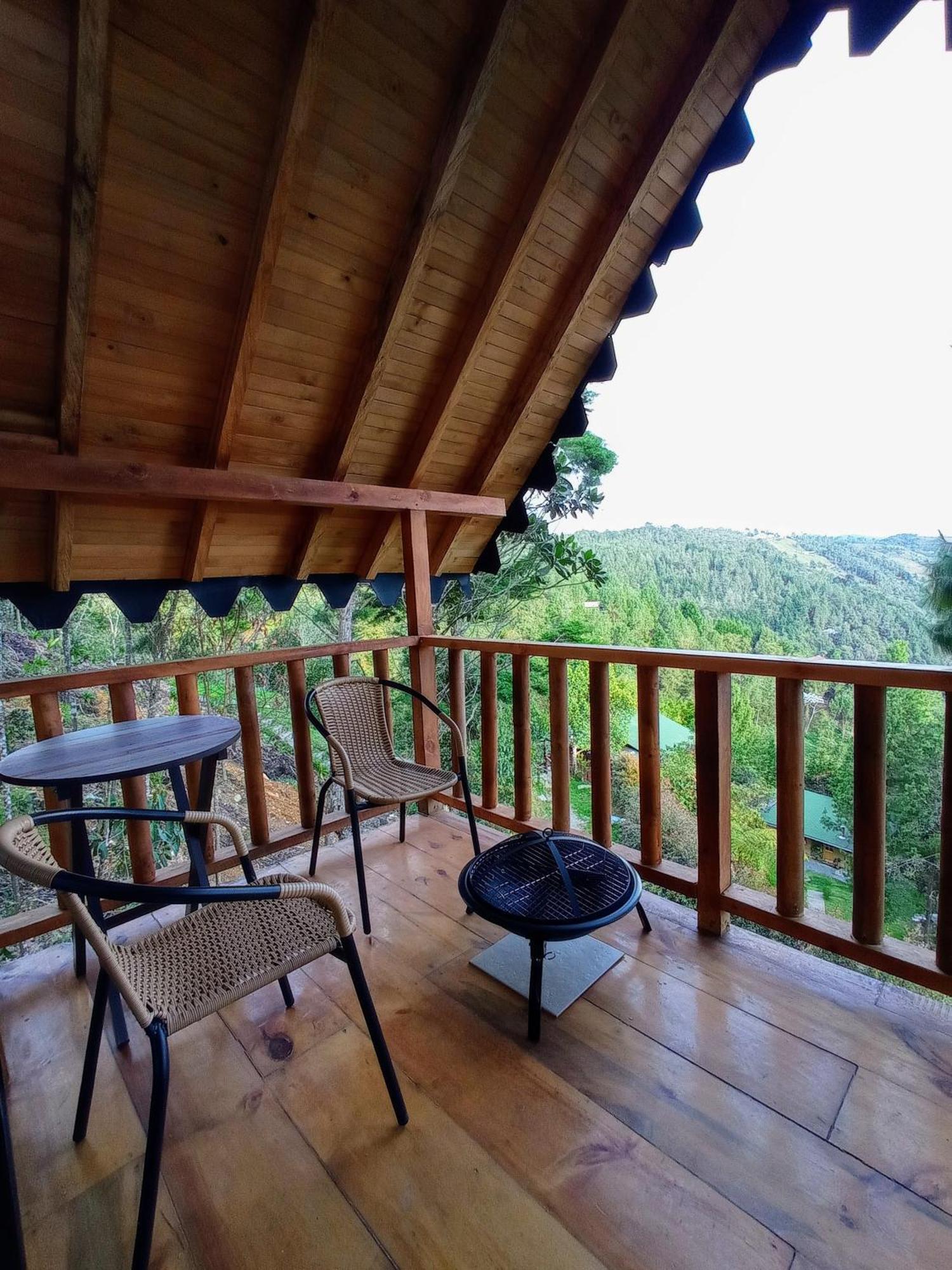 Ecoverso Del Bosque