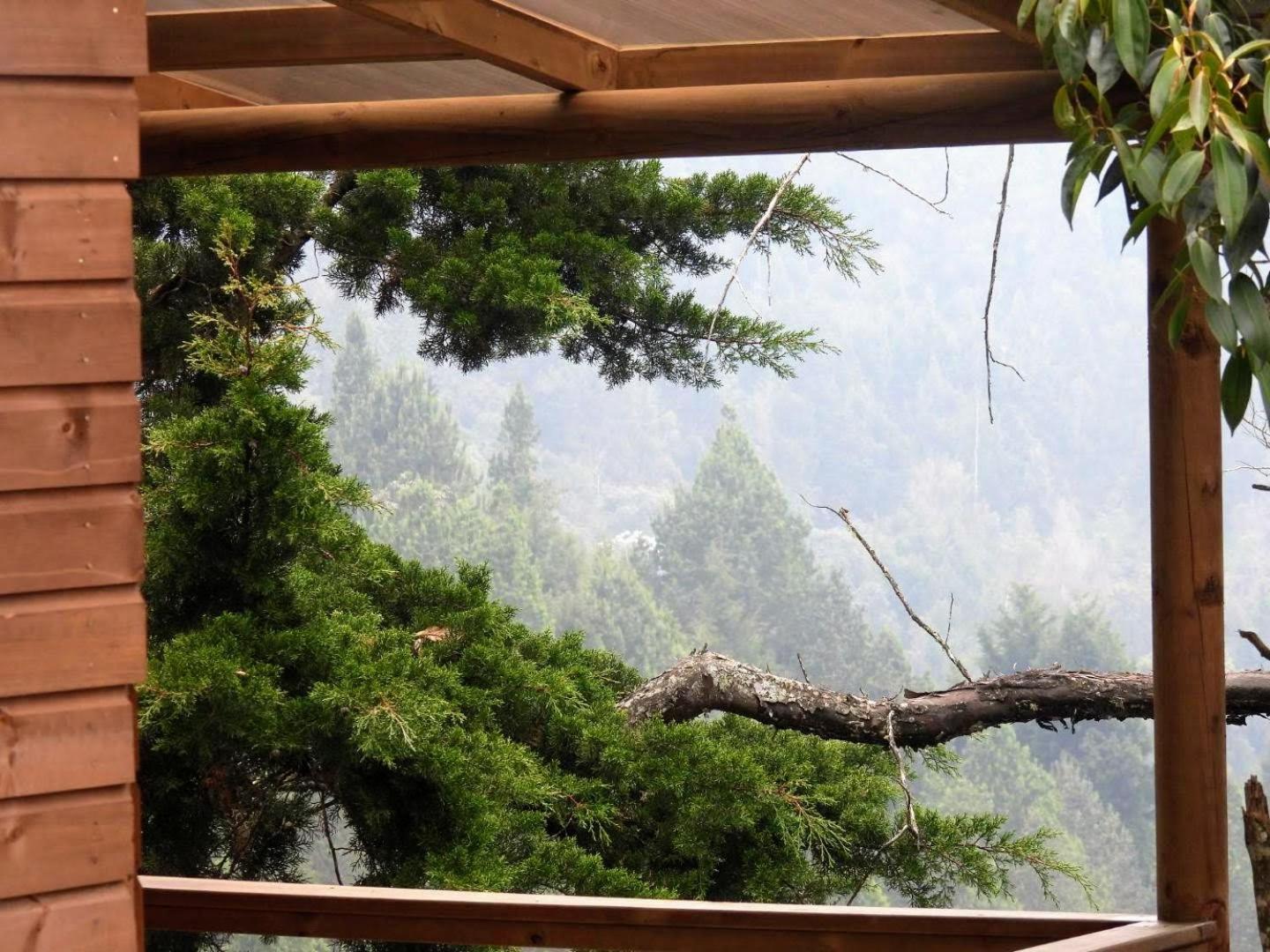 Ecoverso Del Bosque *